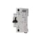 Moeller Circuit Breaker, FAZ Series, 20A, 1 Pole, 277V AC FAZ-D20/1-NA-SP - alternate 1
